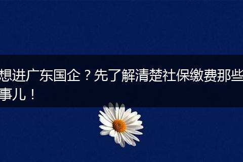 想进广东国企？先了解清楚社保缴费那些事儿！