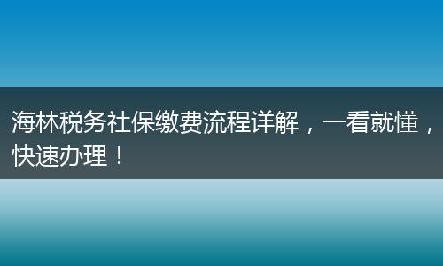 海林税务社保缴费流程详解,一看就懂,快速办理!