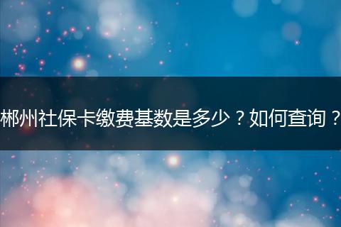 郴州社保卡缴费基数是多少？如何查询？