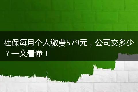 社保每月个人缴费579元，公司交多少？一文看懂！