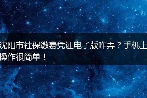 沈阳市社保缴费凭证电子版咋弄？手机上操作很简单！