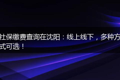 社保缴费查询在沈阳：线上线下，多种方式可选！