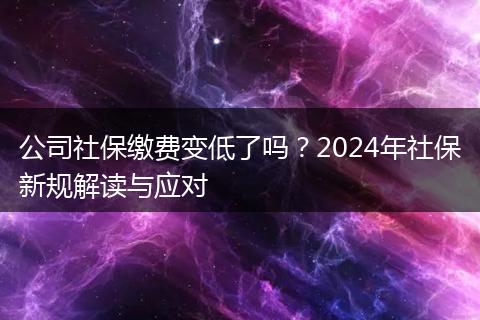 公司社保缴费变低了吗?2024年社保新规解读与应对