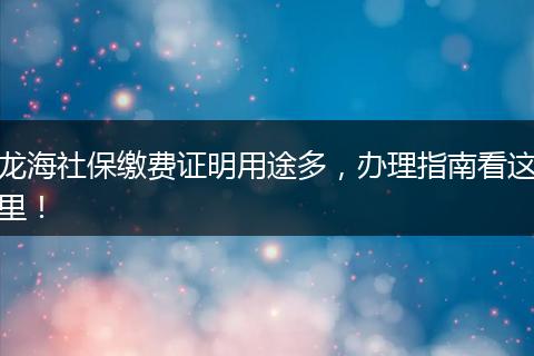 龙海社保缴费证明用途多,办理指南看这里!
