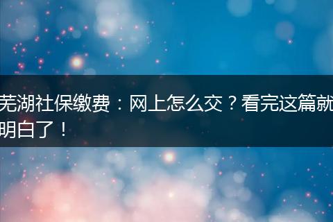 芜湖社保缴费：网上怎么交？看完这篇就明白了！