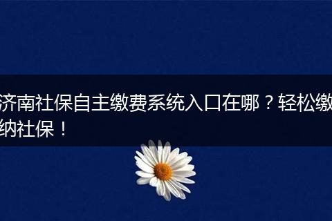 济南社保自主缴费系统入口在哪?轻松缴纳社保!