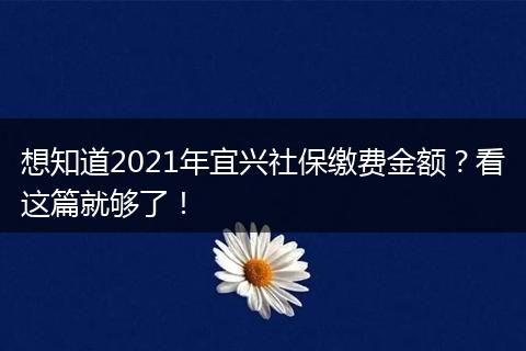 想知道2021年宜兴社保缴费金额？看这篇就够了！