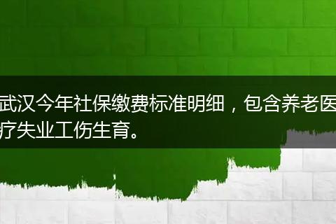 武汉今年社保缴费标准明细，包含养老医疗失业工伤生育。
