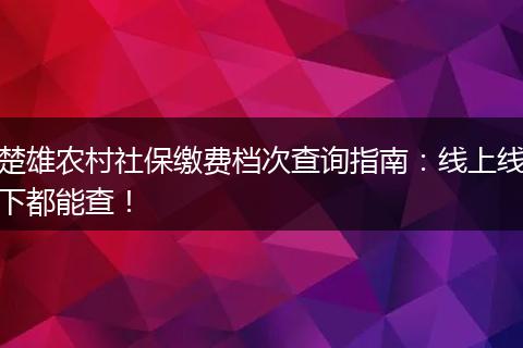 楚雄农村社保缴费档次查询指南：线上线下都能查！