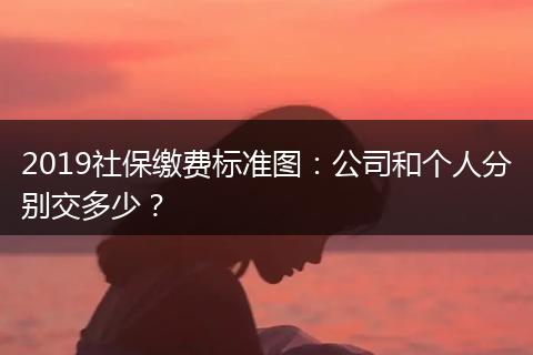 2019社保缴费标准图:公司和个人分别交多少?