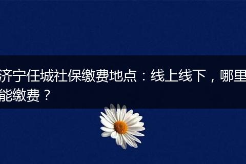 济宁任城社保缴费地点：线上线下，哪里能缴费？