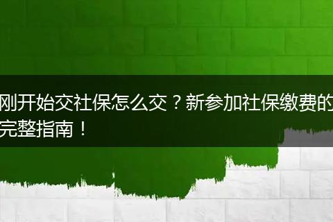 刚开始交社保怎么交？新参加社保缴费的完整指南！