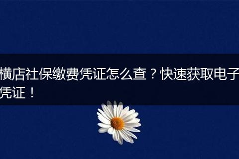 横店社保缴费凭证怎么查?快速获取电子凭证!