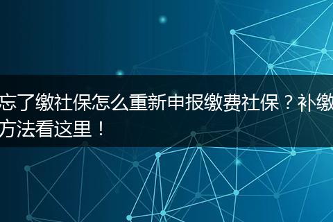忘了缴社保怎么重新申报缴费社保?补缴方法看这里!