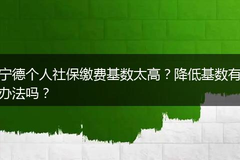 宁德个人社保缴费基数太高?降低基数有办法吗?