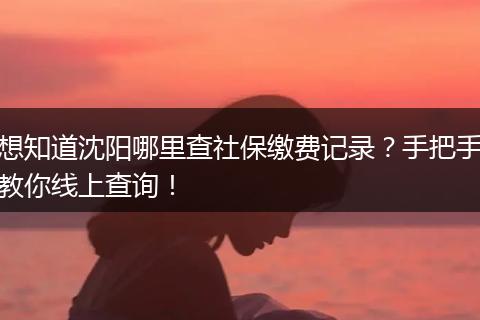 想知道沈阳哪里查社保缴费记录？手把手教你线上查询！
