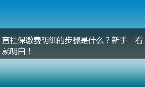 查社保缴费明细的步骤是什么？新手一看就明白！