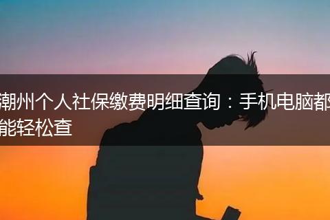 潮州个人社保缴费明细查询：手机电脑都能轻松查