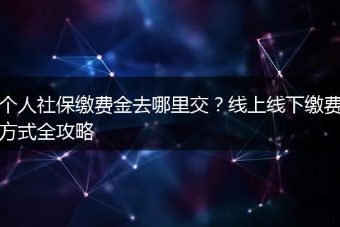 个人社保缴费金去哪里交？线上线下缴费方式全攻略