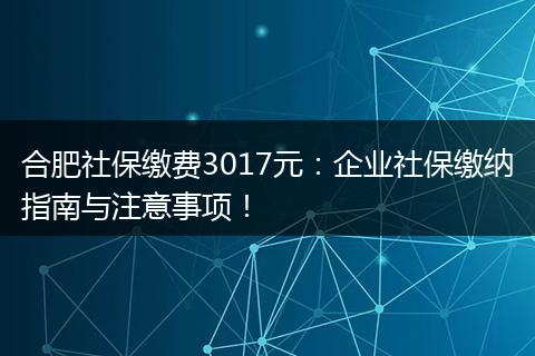 合肥社保缴费3017元：企业社保缴纳指南与注意事项！