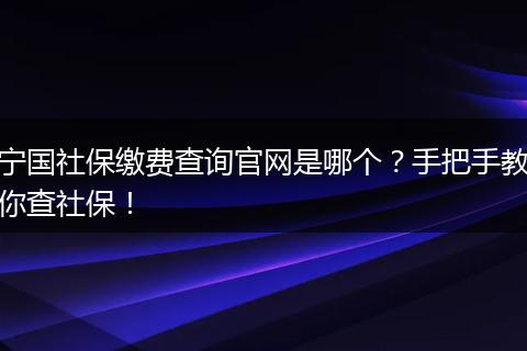 宁国社保缴费查询官网是哪个？手把手教你查社保！