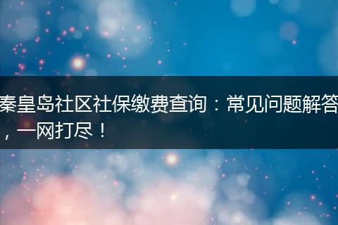 秦皇岛社区社保缴费查询：常见问题解答，一网打尽！