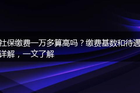 社保缴费一万多算高吗?缴费基数和待遇详解,一文了解