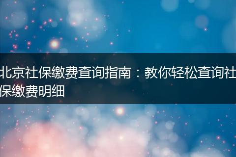 北京社保缴费查询指南：教你轻松查询社保缴费明细