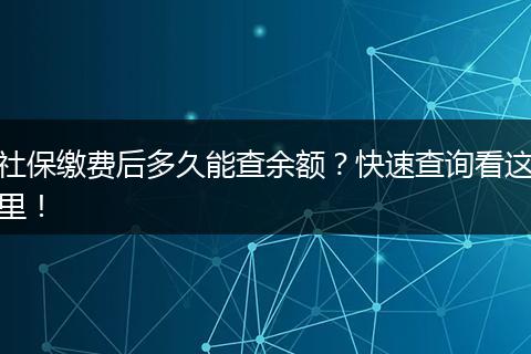 社保缴费后多久能查余额？快速查询看这里！