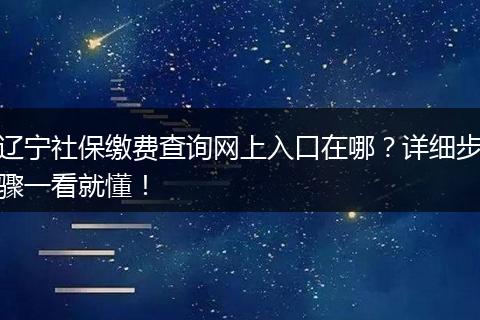 辽宁社保缴费查询网上入口在哪？详细步骤一看就懂！