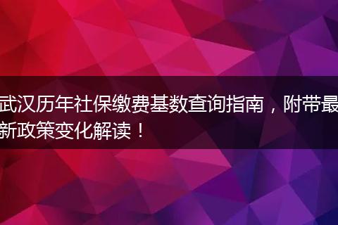 武汉历年社保缴费基数查询指南，附带最新政策变化解读！