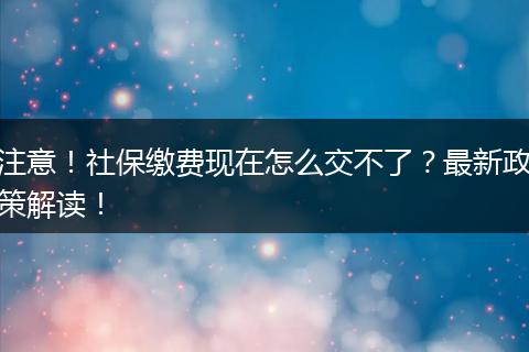 注意！社保缴费现在怎么交不了？最新政策解读！
