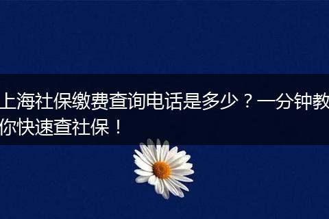 上海社保缴费查询电话是多少？一分钟教你快速查社保！