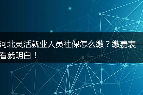 河北灵活就业人员社保怎么缴？缴费表一看就明白！