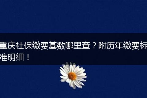重庆社保缴费基数哪里查？附历年缴费标准明细！
