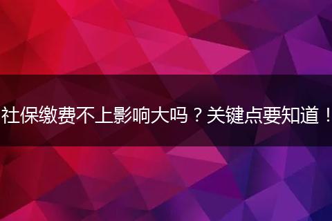 社保缴费不上影响大吗？关键点要知道！