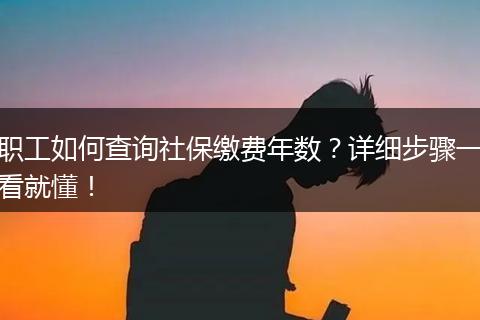 职工如何查询社保缴费年数？详细步骤一看就懂！