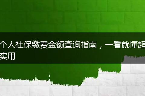 个人社保缴费金额查询指南，一看就懂超实用