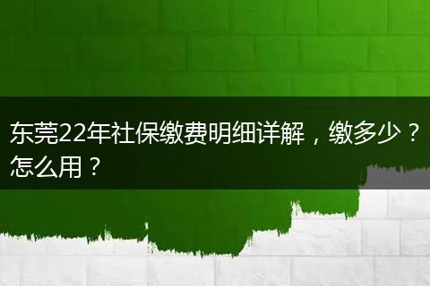 东莞22年社保缴费明细详解，缴多少？怎么用？
