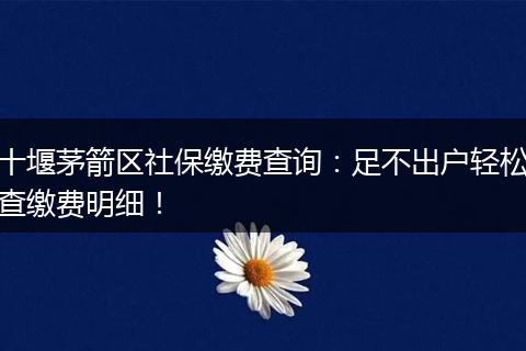 十堰茅箭区社保缴费查询：足不出户轻松查缴费明细！