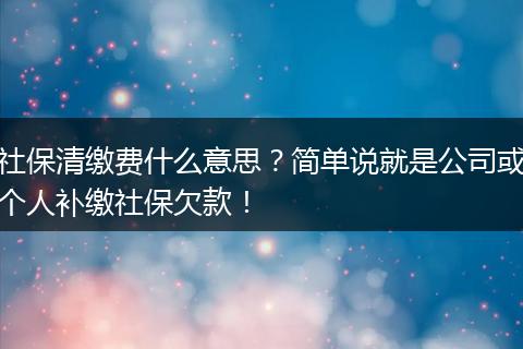 社保清缴费什么意思?简单说就是公司或个人补缴社保欠款!
