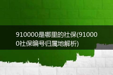 910000是哪里的社保(910000社保编号归属地解析)