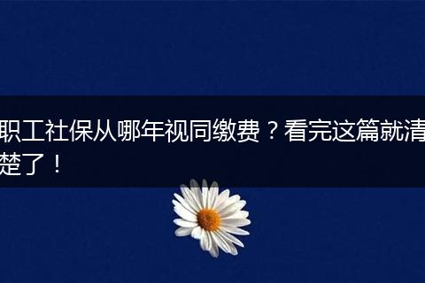 职工社保从哪年视同缴费？看完这篇就清楚了！