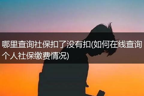 哪里查询社保扣了没有扣(如何在线查询个人社保缴费情况)