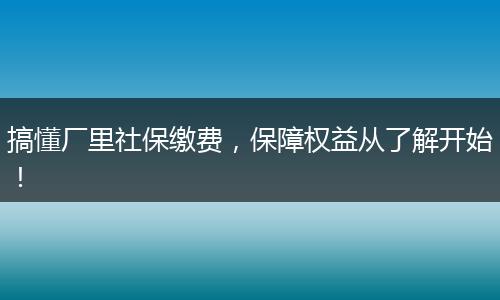 搞懂厂里社保缴费，保障权益从了解开始！
