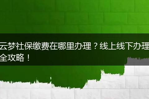 云梦社保缴费在哪里办理？线上线下办理全攻略！