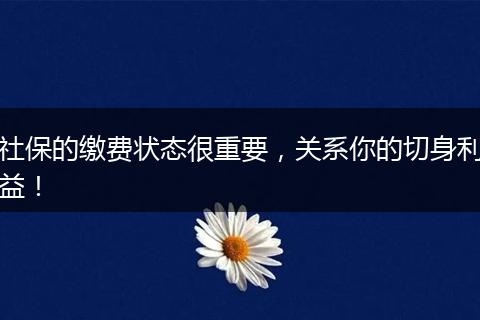 社保的缴费状态很重要，关系你的切身利益！
