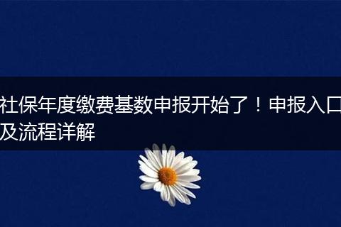 社保年度缴费基数申报开始了！申报入口及流程详解