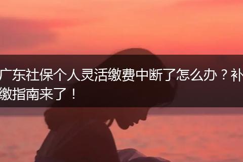 广东社保个人灵活缴费中断了怎么办？补缴指南来了！