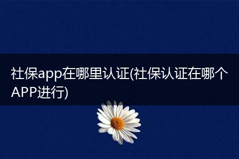 社保app在哪里认证(社保认证在哪个APP进行)